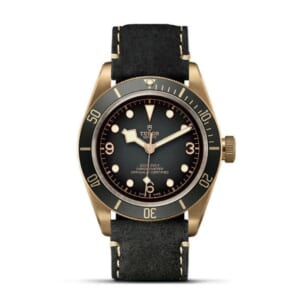 BLACK BAY BRONZE