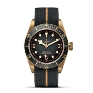 BLACK BAY BRONZE