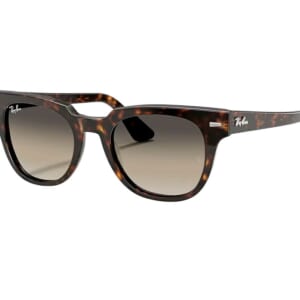 【RAY BAN】 METEOR