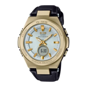 G-MS MSG-W200RL-1AJF